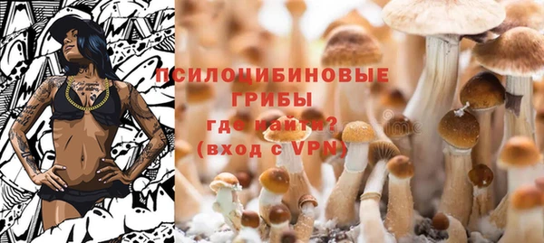spice Заводоуковск